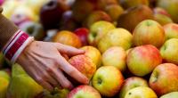 Es gibt unzählige Ernährungsweisen. Eine besonders extreme Form ist der Frutarismus. Bei den Frutariern kommt nur das auf den Tisch, was die Natur ihnen freiwillig gibt, also Früchte und Samen.