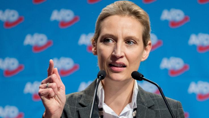 Eine Großspende aus der Schweiz könnte Alice Weidel und der AfD zum Verhängnis werden.