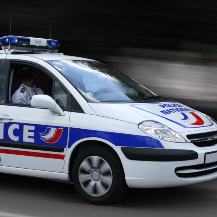 Drei verweste Babyleichen bei Hausentrümpelung entdeckt