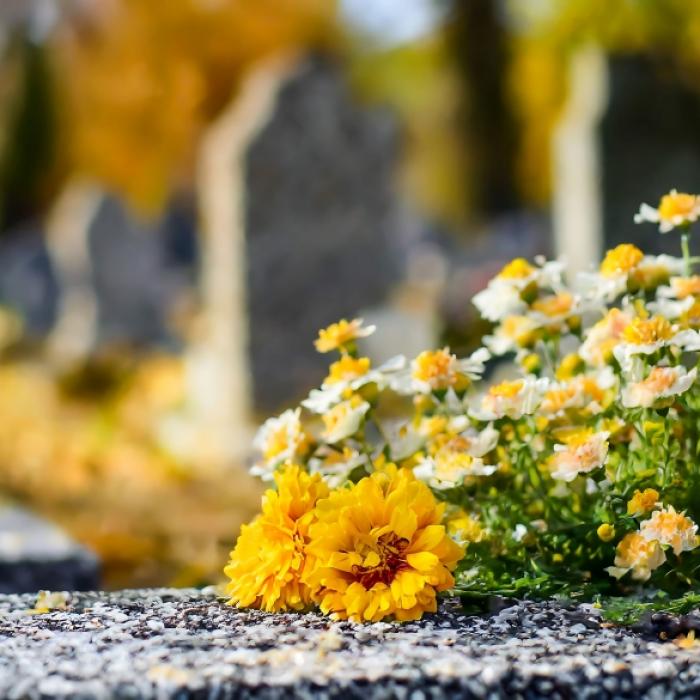 Vor aller Augen: Influencerin (34) stirbt nach allergischer Reaktion