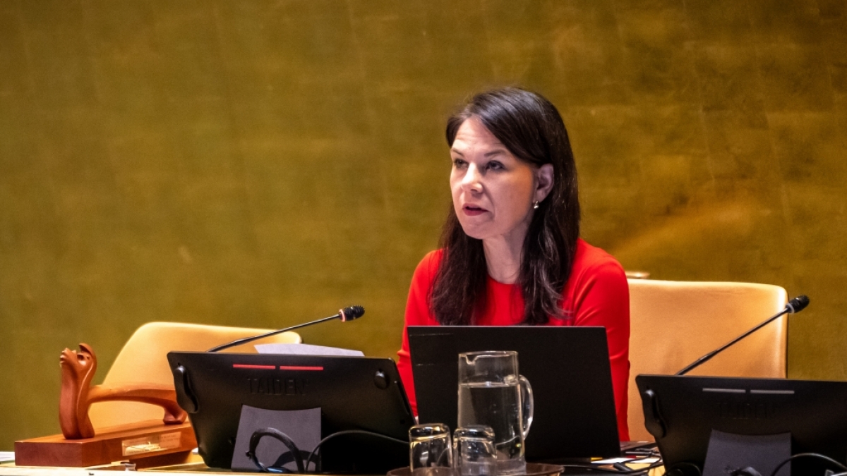 Nach dem UN-Desaster fordern die Union Annalena Baerbock vor den Ausschuss. (Foto)