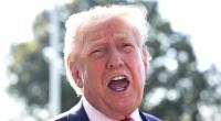 Donald Trump verzeichnet nach dem Treffen mit Wladimir Putin bessere Umfrage-Werte - vor allem bei jüngeren. 