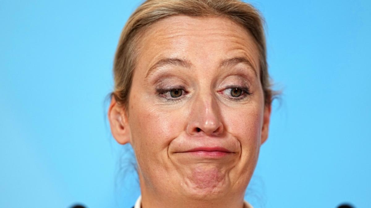 Alice Weidel sorgte mit ihrem Auftritt bei "Caren Miosga" f&uuml;r Emp&ouml;rung. (Foto)