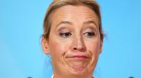 Alice Weidel sorgte mit ihrem Auftritt bei 