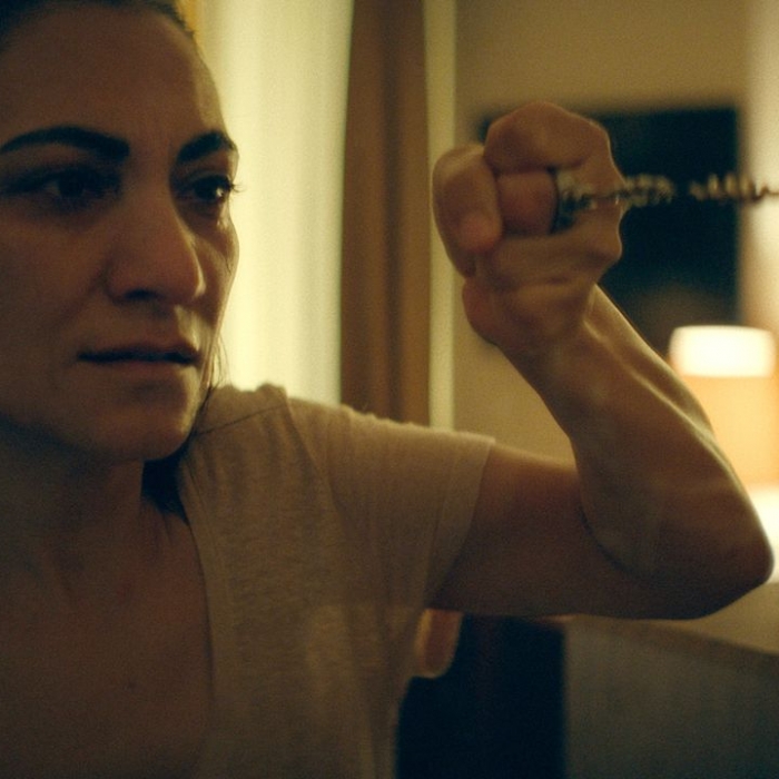 Wiederholung von Folge 5, Staffel 1 online und im TV