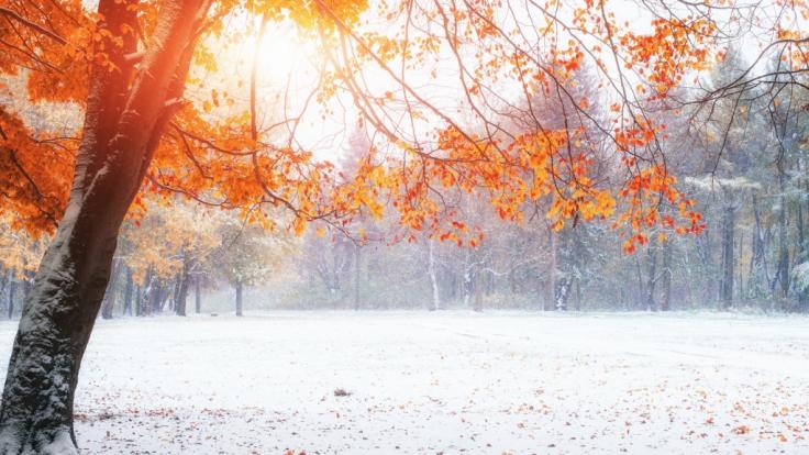 Der Herbst hält Einzug.