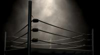 Die Wrestling-Szene trauert um John 