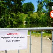 Tummeln sich in diesem See in Kirchheim unter Teck drei Krokodile?