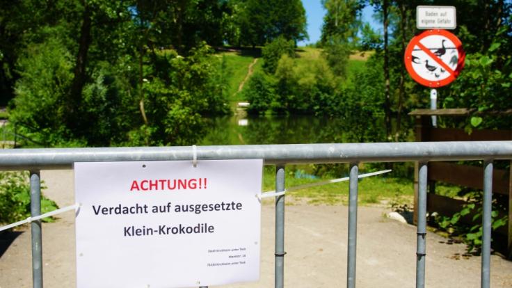 Tummeln sich in diesem See in Kirchheim unter Teck drei Krokodile?