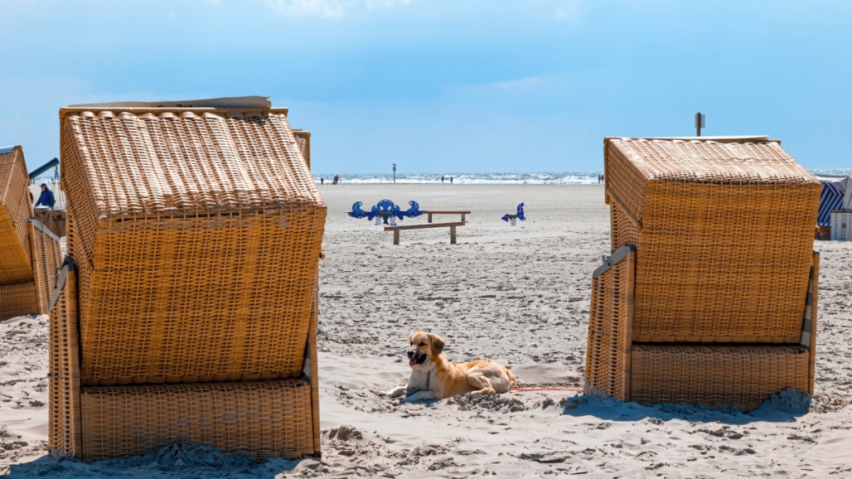 Bei sonnigem Wetter f&uuml;hlt man sich am Strand am wohlsten. (Foto)