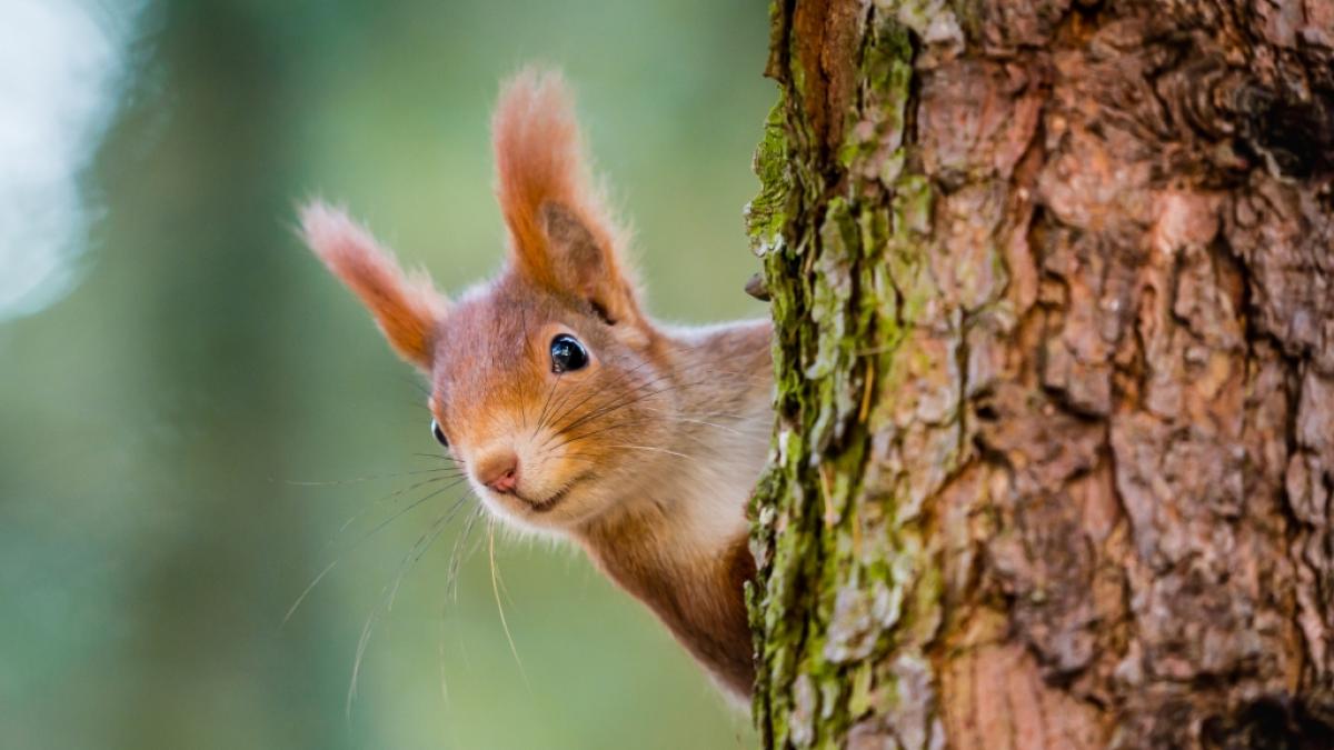 Wie wird das Wetter im September? (Foto)