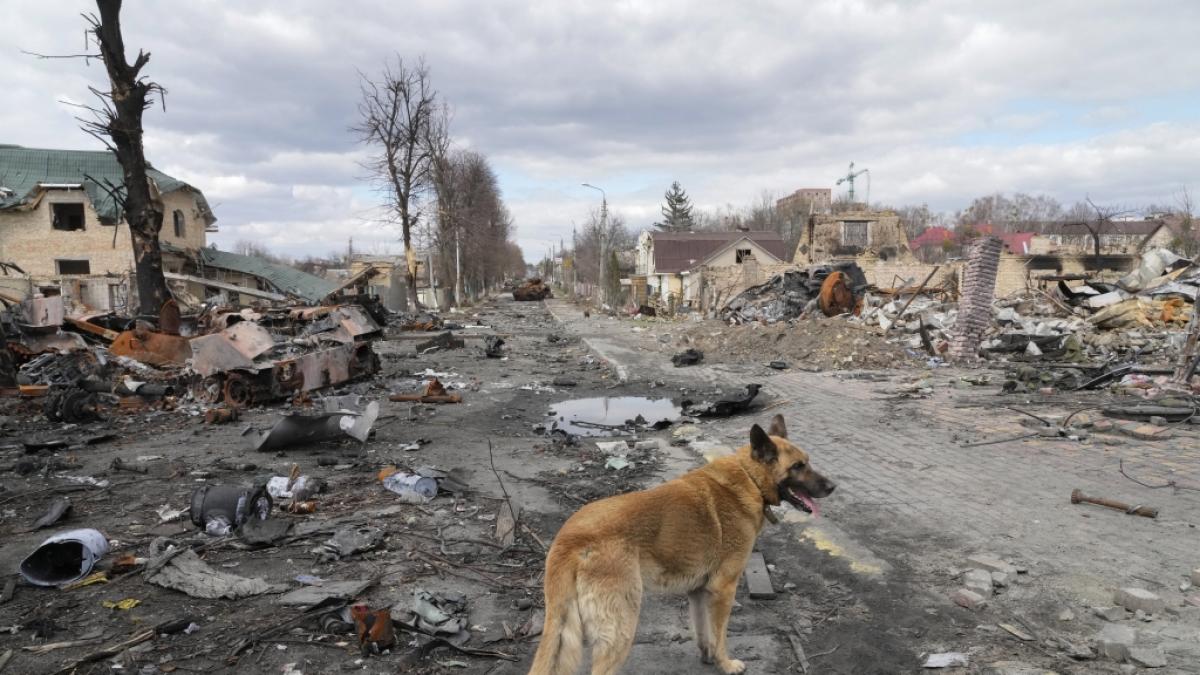 Karten offenbaren Putins n&auml;chstes Ziel in der Ukraine. (Foto)