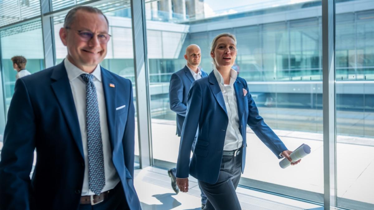 Die Alternative f&uuml;r Deutschland will nicht nur in Th&uuml;ringen, sondern auch auf Bundesebene mit dem B&uuml;ndnis Sahra Wagenknecht (BSW) gemeinsame Sache machen. (Foto)