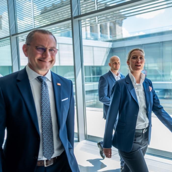Das steckt hinter dem AfD-Kuschelkurs mit dem BSW