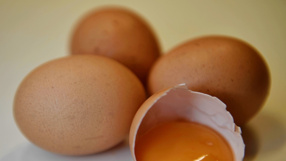 Ein explodierendes Fr&uuml;hst&uuml;cksei verletzte eine 19-J&auml;hrige schwer (Symbolfoto). (Foto)