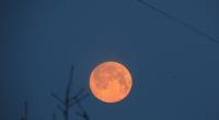 Im September leuchtete eine totale Mondfinsternis am Himmel.