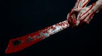 Ein 19-Jähriger hat seine 24-Jährige Freundin zerstückelt.