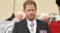 Prinz Harry will offenbar alle Hebel in Bewegung setzen, um ein Wiedersehen zwischen König Charles III., Enkelsohn Archie und Enkeltochter Lilibet in die Wege zu leiten.