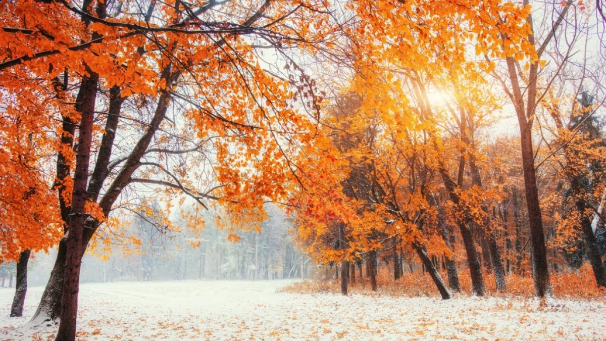 Wie wird das Wetter im Oktober 2021? (Foto)