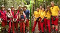 Die Kandidaten der RTL-Realityshow 