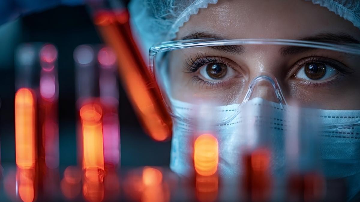 Wissenschaftler haben ein mysteri&ouml;ses Fledermaus-Virus entdeckt. (Foto)