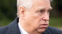 Die Enthüllungen um Andrew Mountbatten Windsor reißen nicht ab: Der Epstein-Skandal hat den früheren Herzog von York zu Fall gebracht.
