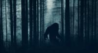 Treibt Bigfoot in den USA sein Unwesen? (Symbolfoto)