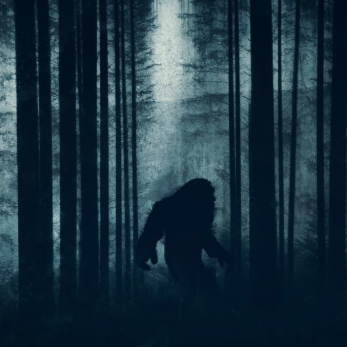 Existenz bewiesen? Mysteriöse Aufnahme gibt Rätsel auf