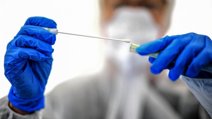 Aktuelle Studien haben herausgefunden, dass das Coronavirus nicht allein die menschliche Lunge angreift.