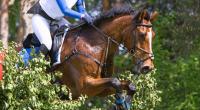 Iona Sclater hatte einen tödlichen Unfall beim Reiten.