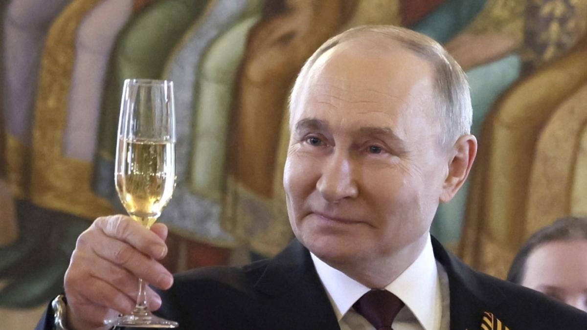 Wladimir Putin soll von einem seiner neuen Berater vor einer Braunb&auml;ren-Attacke gerettet worden sein. (Foto)