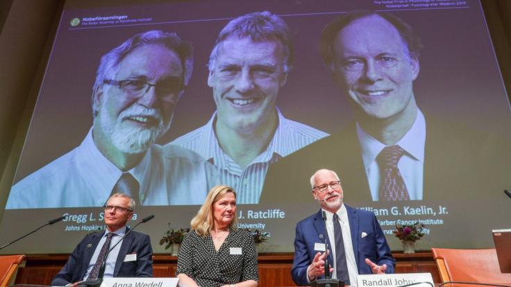 Der Nobelpreis für Medizin geht in diesem Jahr an Gregg Semenza (hinten, l-r, USA), Peter Ratcliffe (Großbritannien) und William Kaelin (USA) für ihre gemeinsame Entdeckung molekularer Mechanismen, mit denen Zellen den Sauerstoffgehalt wahrnehmen.