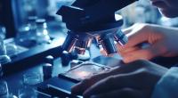 Japanische Wissenschaftler haben ein Männermordendes Virus entdeckt.