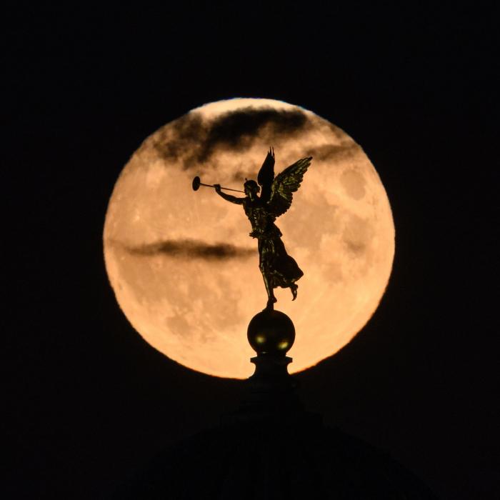 Sternschnuppen und Doppel-Vollmond - diese Termine dürfen Sie keinesfalls verpassen