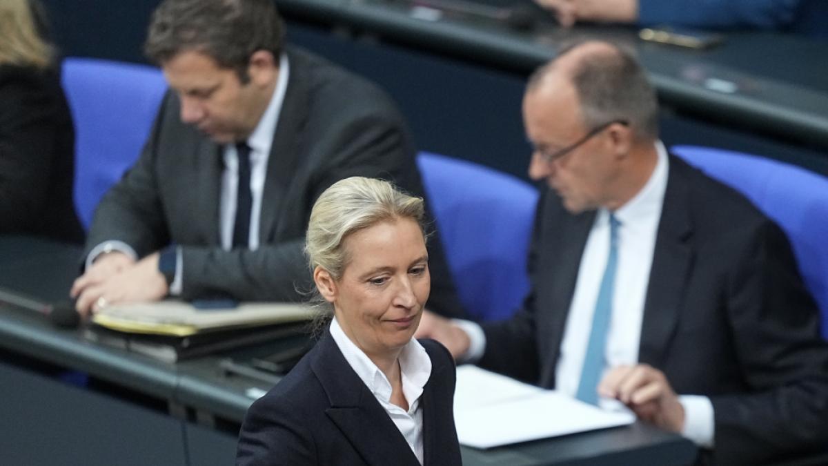 Die AfD-Brandmauer wackelt. (Foto)