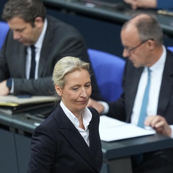 Umfrage-Schlappe für den Bundeskanzler - AfD-Brandmauer wackelt