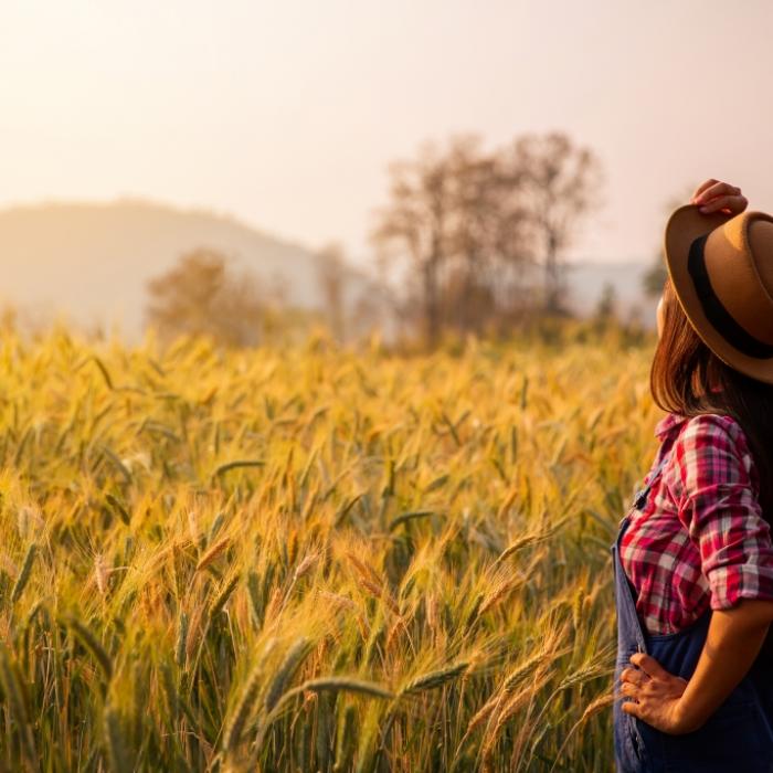 Wettervorhersage durch uralte Regeln? DAS prophezeit der November