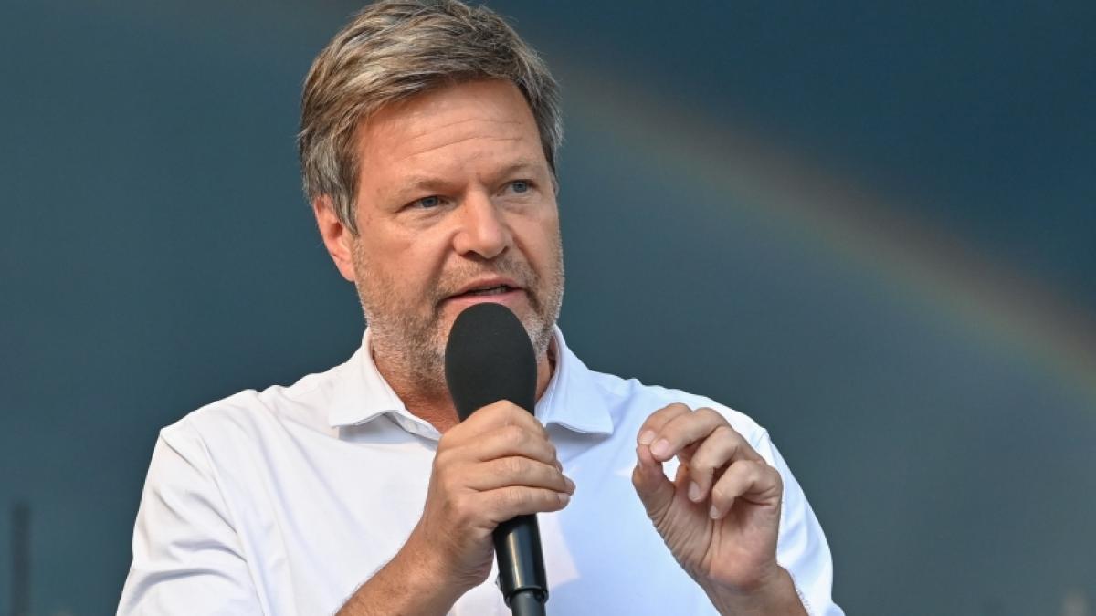 Robert Habecks Gas-Plan k&ouml;nnte scheitern. (Foto)
