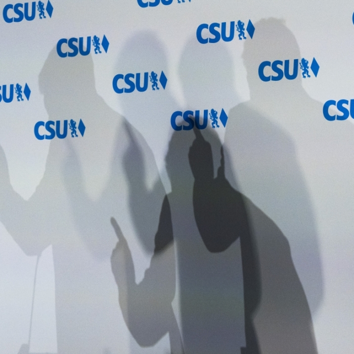 Partei erhielt im Januar Großspende aus dem Ausland