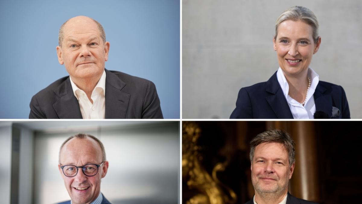 Olaf Scholz, Friedrich Merz, Alice Weidel und Robert Habeck werden bei RTL aufeinander treffen. (Foto)