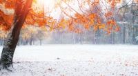 Der Hundertjährige Kalender sagt eher durchwachsenes November-Wetter voraus.