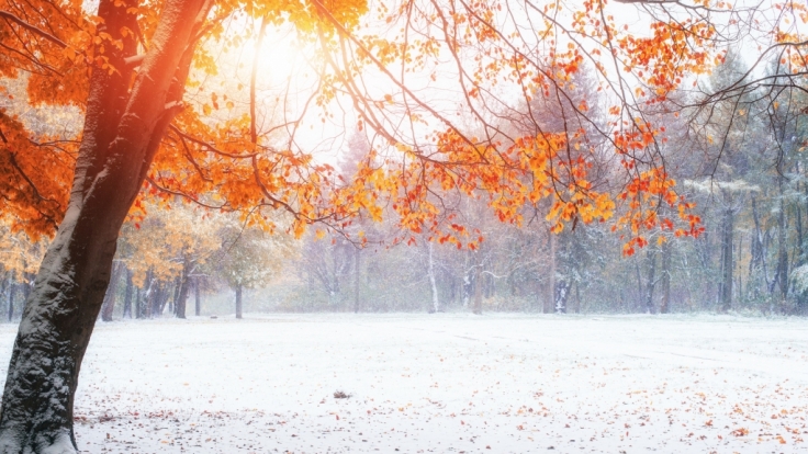 Der Hundertjährige Kalender sagt eher durchwachsenes November-Wetter voraus.