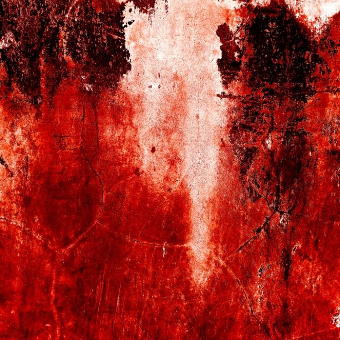 Blutige Horror-Attacken! Hai zerfleischt Kind, Krokodil köpft Teenager