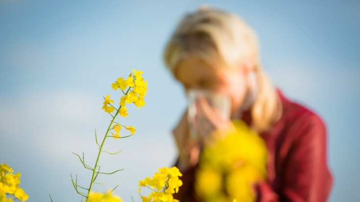 Organic weather today in Offenbach am Main: current pollen count and weather-related influence on your well-being