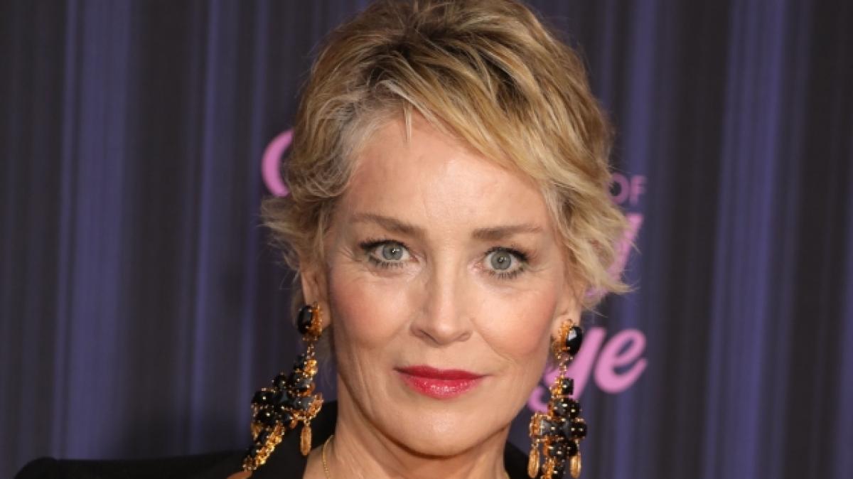 Hollywood-Legende Sharon Stone heizt ihren Fans im gewagten Unterw&auml;sche-Look ein. (Foto)