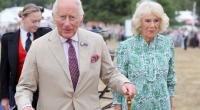 König Charles' Ehefrau Königin Camilla hat sich überraschend zu einem Gesundheits-Update hinreißen lassen.