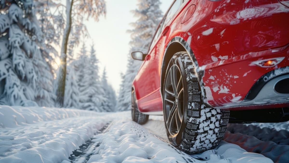 Steht uns ein milder oder sehr kalter Winter bevor? (Foto)