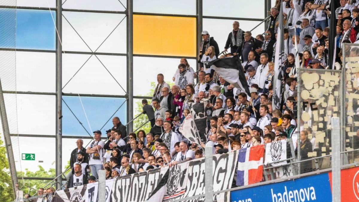 Die Fans der SV Elversberg unterst&uuml;tzen ihr Team im Stadion. (Symbolbild) (Foto)