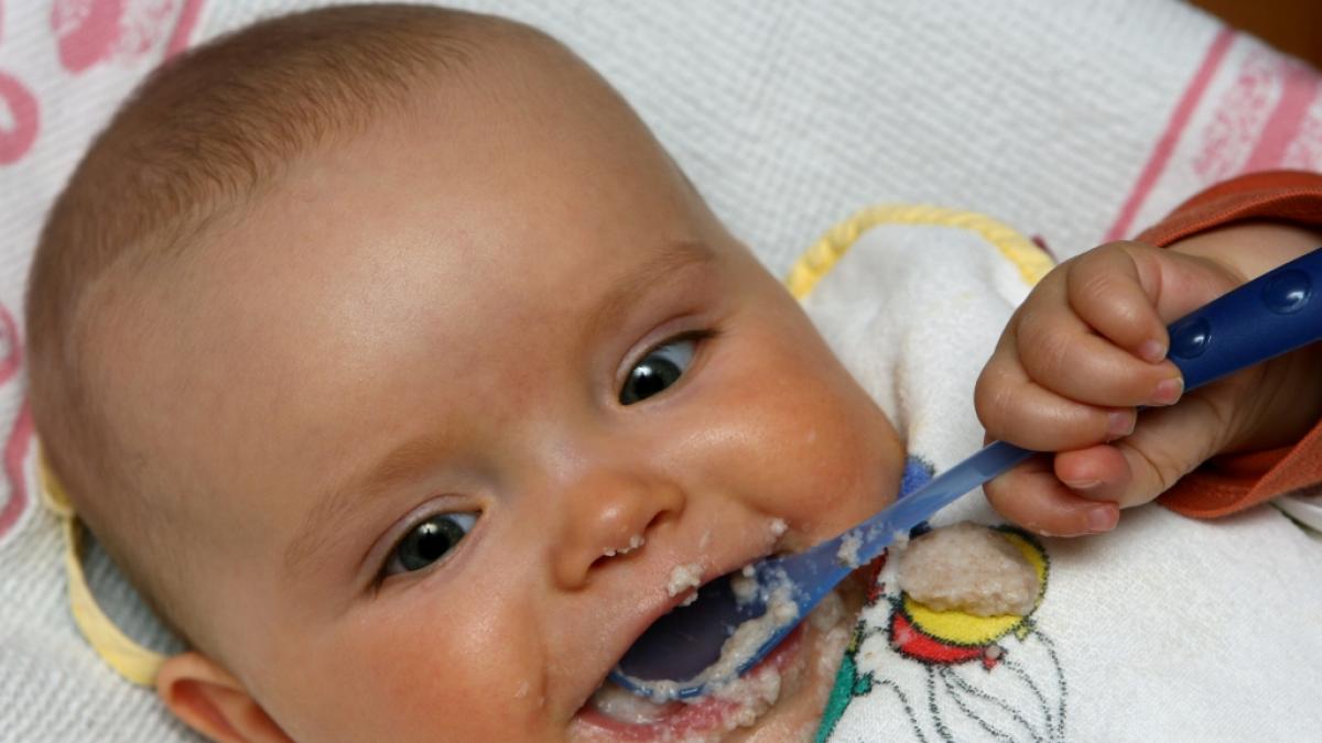 Babybrei im Test (Foto)