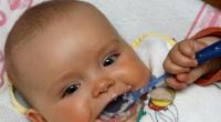 Babybrei im Test
